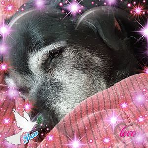 Meet your Posher, Pauline